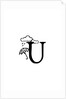 U by Joumari