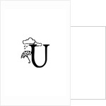 U by Joumari