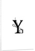Y by Joumari