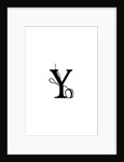 Y by Joumari