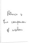 Patience and wisdom by Joumari