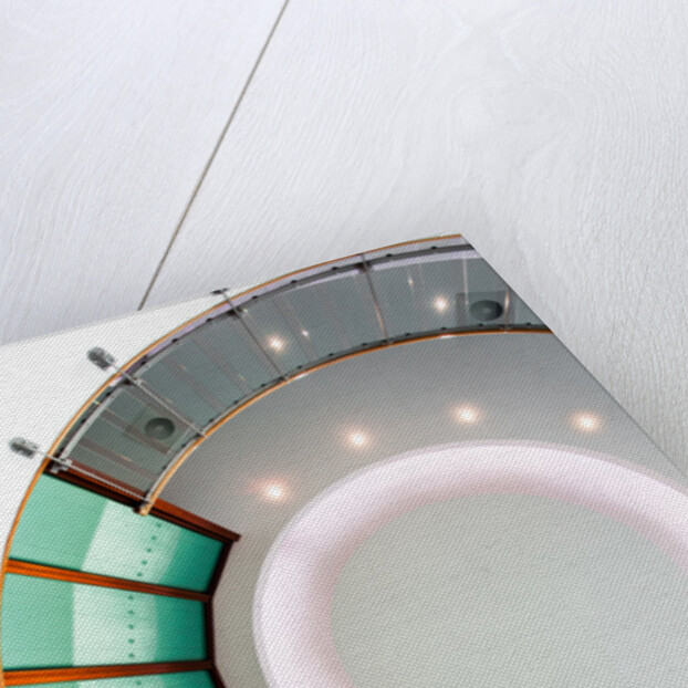 Ammonite by Joas Souza