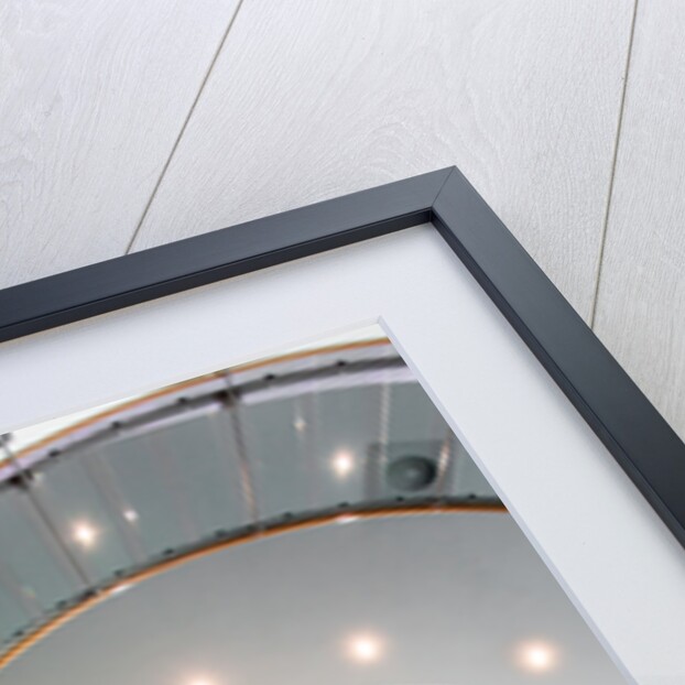 Ammonite by Joas Souza