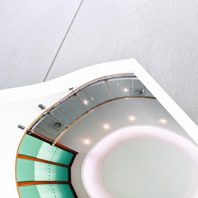 Ammonite by Joas Souza