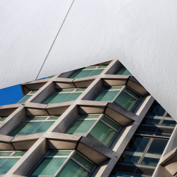 Centre Point Centipede by Joas Souza