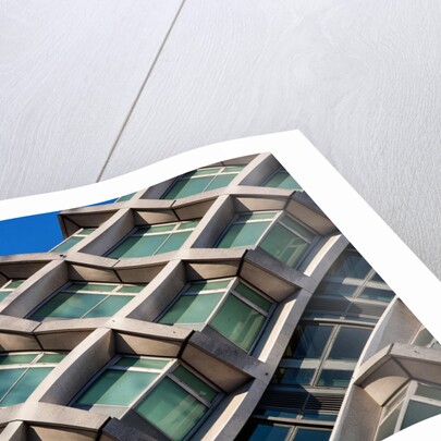 Centre Point Centipede by Joas Souza