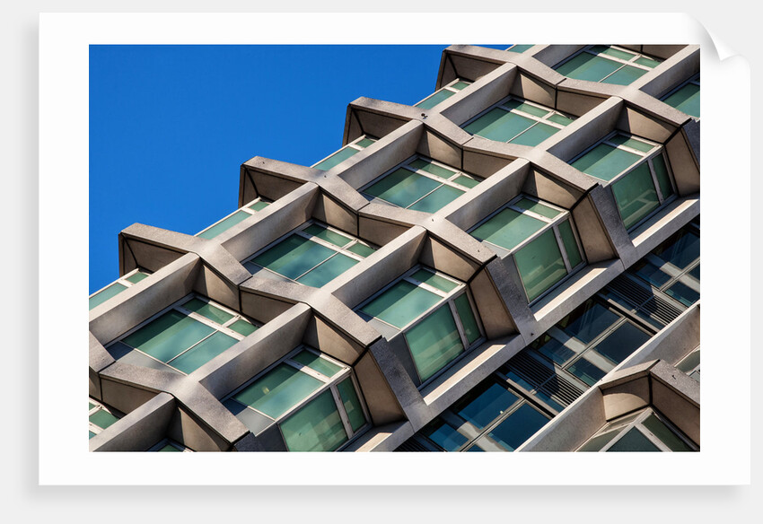 Centre Point Centipede by Joas Souza