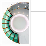 Ammonite by Joas Souza