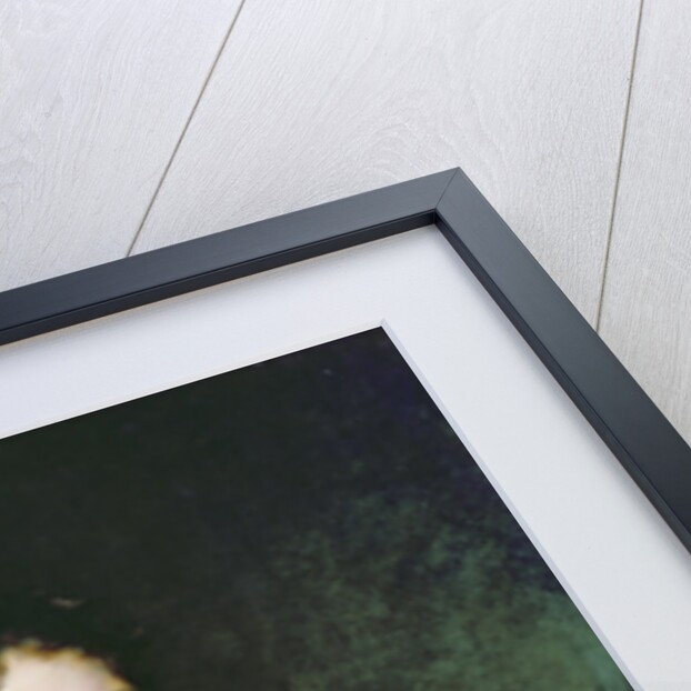 Portrait of Sir John Beckett by Sir Thomas Lawrence