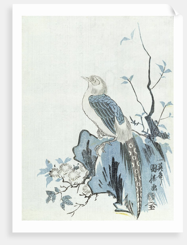 Bird on a Rock by Japanese School