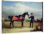 Thomas Oliver Gascoigne of the Royal Horse Guards by English School