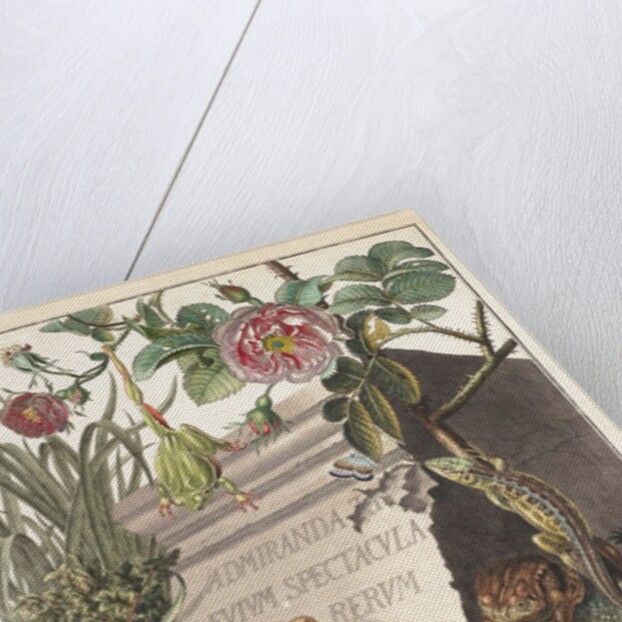 Frogs and toads (Frontispiece) by M. Tyroff