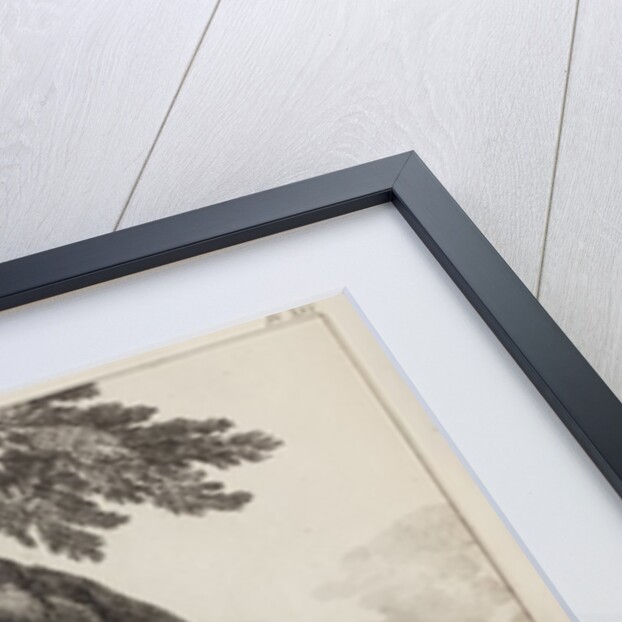 Elephants ('Simulacre des instants de la generation des elephants'), Hans and Parkie by J. P. L. L. Houel