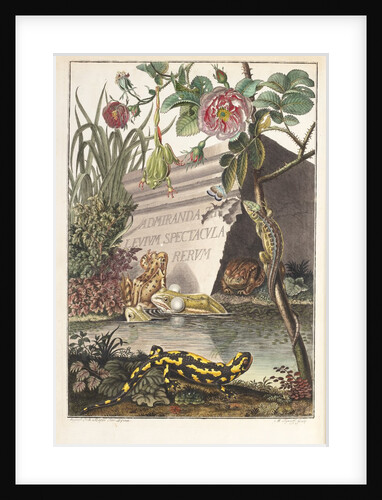 Frogs and toads (Frontispiece) by M. Tyroff