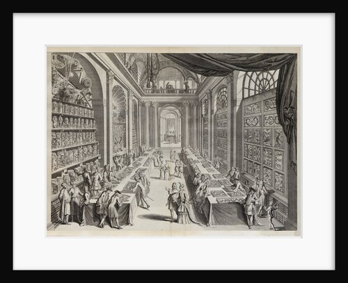 Levinus Vincent Collection from 'Theatre des merveilles de la nature' by J. V. Viane