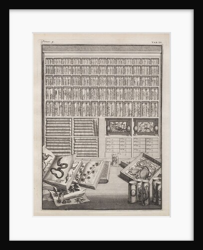 Cabinet from 'Theatre des merveilles de la nature' by J. V. Viane