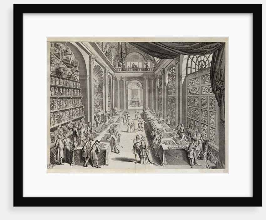 Levinus Vincent Collection from 'Theatre des merveilles de la nature' by J. V. Viane