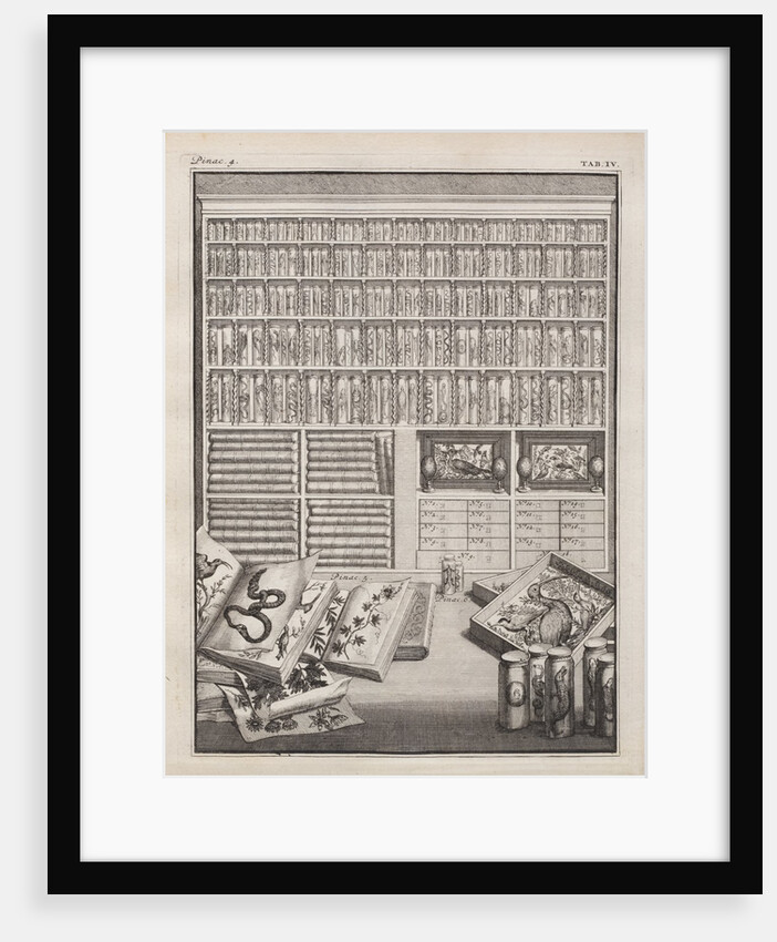Cabinet from 'Theatre des merveilles de la nature' by J. V. Viane