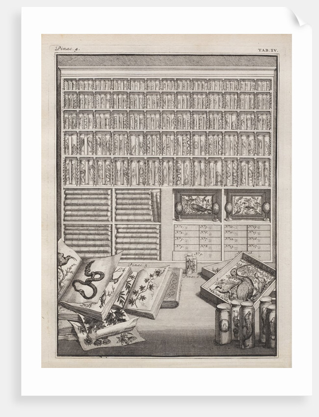 Cabinet from 'Theatre des merveilles de la nature' by J. V. Viane
