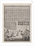 Cabinet from 'Theatre des merveilles de la nature' by J. V. Viane