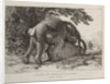 Elephants ('Simulacre des instants de la generation des elephants'), Hans and Parkie by J. P. L. L. Houel