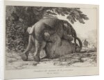 Elephants ('Simulacre des instants de la generation des elephants'), Hans and Parkie by J. P. L. L. Houel