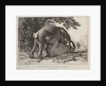 Elephants ('Simulacre des instants de la generation des elephants'), Hans and Parkie by J. P. L. L. Houel