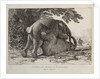 Elephants ('Simulacre des instants de la generation des elephants'), Hans and Parkie by J. P. L. L. Houel
