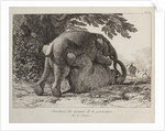 Elephants ('Simulacre des instants de la generation des elephants'), Hans and Parkie by J. P. L. L. Houel