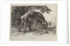 Elephants ('Simulacre des instants de la generation des elephants'), Hans and Parkie by J. P. L. L. Houel