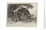 Elephants ('Simulacre des instants de la generation des elephants'), Hans and Parkie by J. P. L. L. Houel
