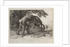 Elephants ('Simulacre des instants de la generation des elephants'), Hans and Parkie by J. P. L. L. Houel