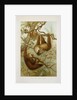 Two-toed sloth (Bradypus didactylus), 1894-1896 (Plate) by P. J. Smit