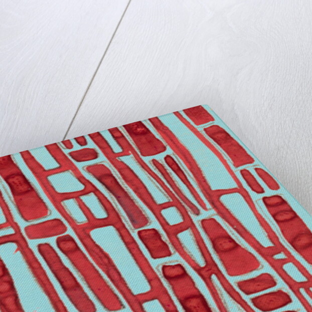 Organic abstraction 1 by Heinrich Martin