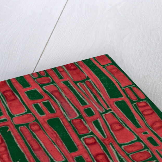 Organic abstraction 2 by Heinrich Martin