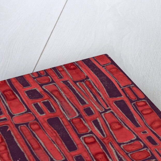 Organic abstraction 3 by Heinrich Martin