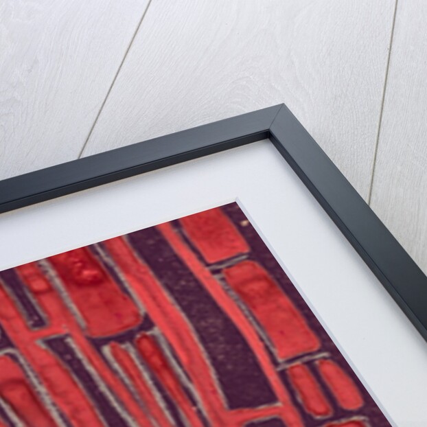 Organic abstraction 3 by Heinrich Martin