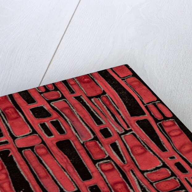 Organic abstraction 4 by Heinrich Martin