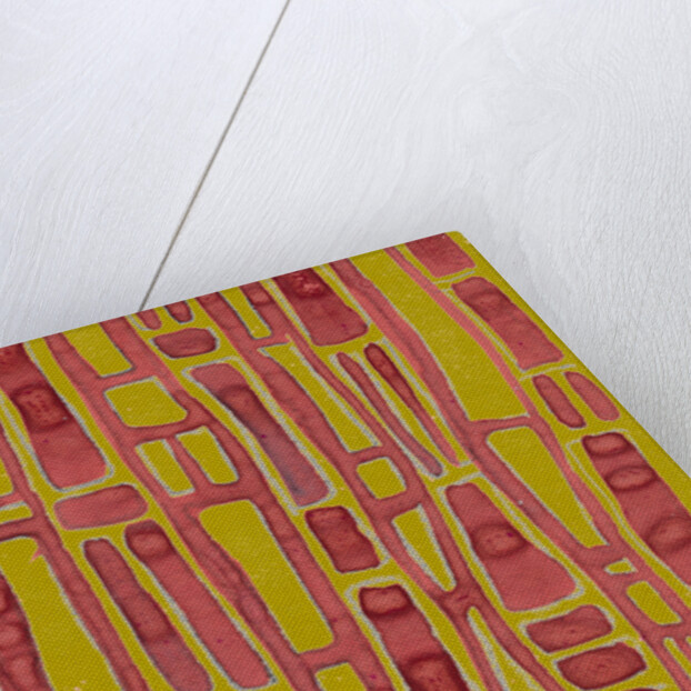 Organic abstraction 5 by Heinrich Martin