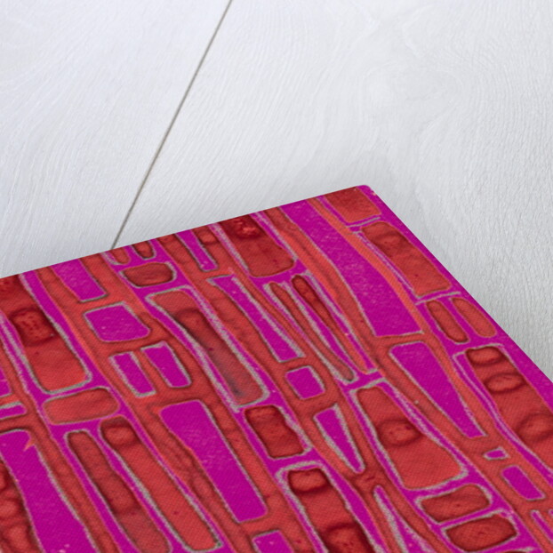 Organic abstraction 6 by Heinrich Martin