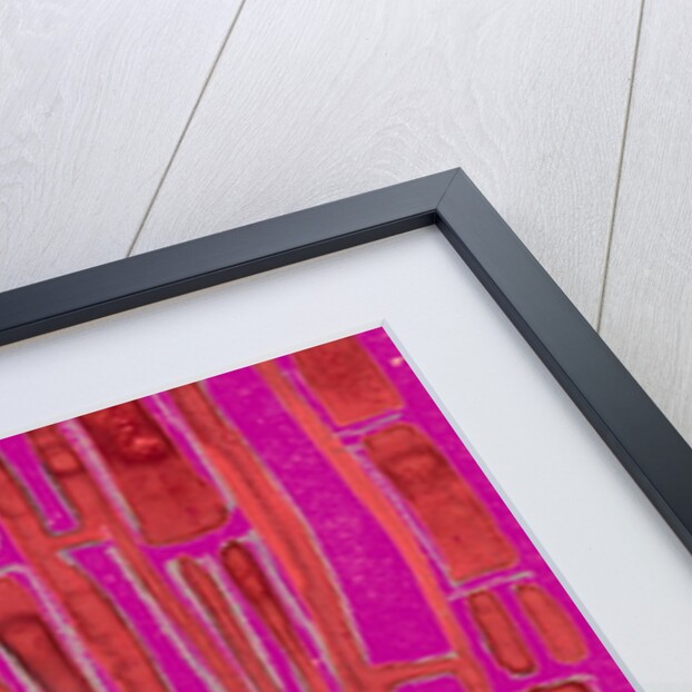 Organic abstraction 6 by Heinrich Martin