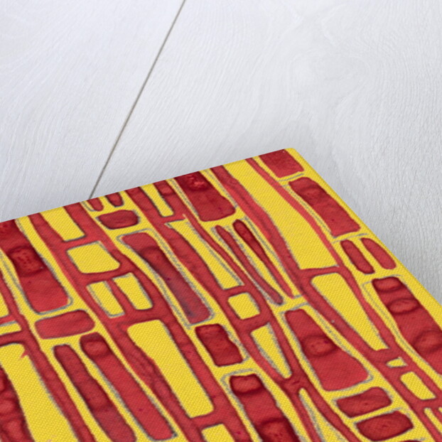 Organic abstraction 7 by Heinrich Martin