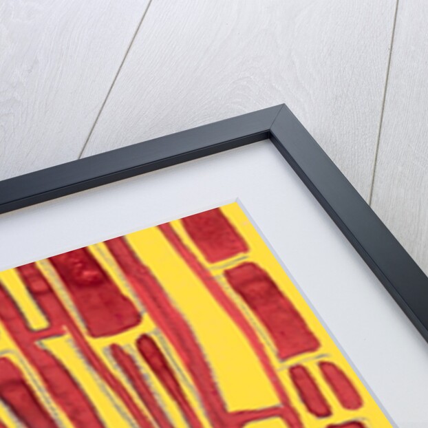 Organic abstraction 7 by Heinrich Martin