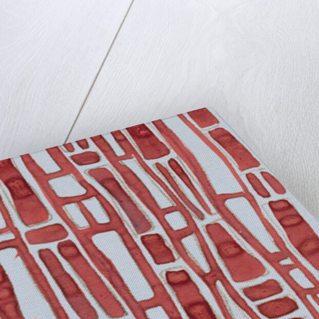 Organic abstraction 8 by Heinrich Martin