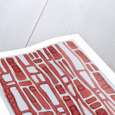 Organic abstraction 8 by Heinrich Martin