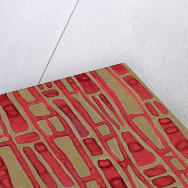 Organic abstraction 9 by Heinrich Martin