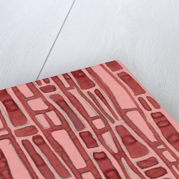 Organic abstraction 10 by Heinrich Martin