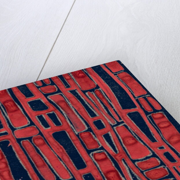 Organic abstraction 11 by Heinrich Martin