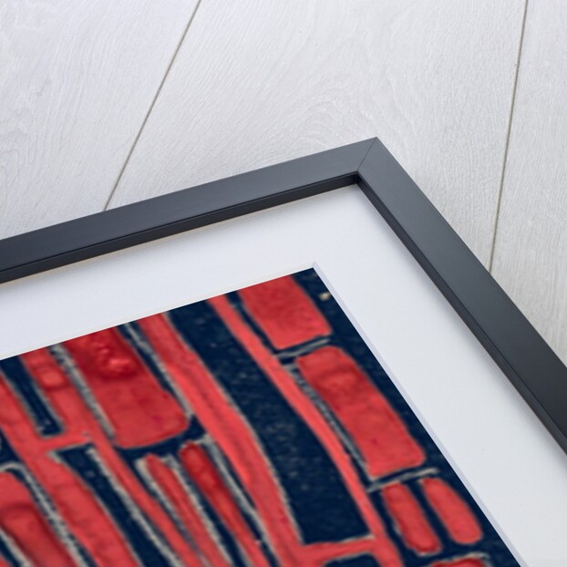 Organic abstraction 11 by Heinrich Martin