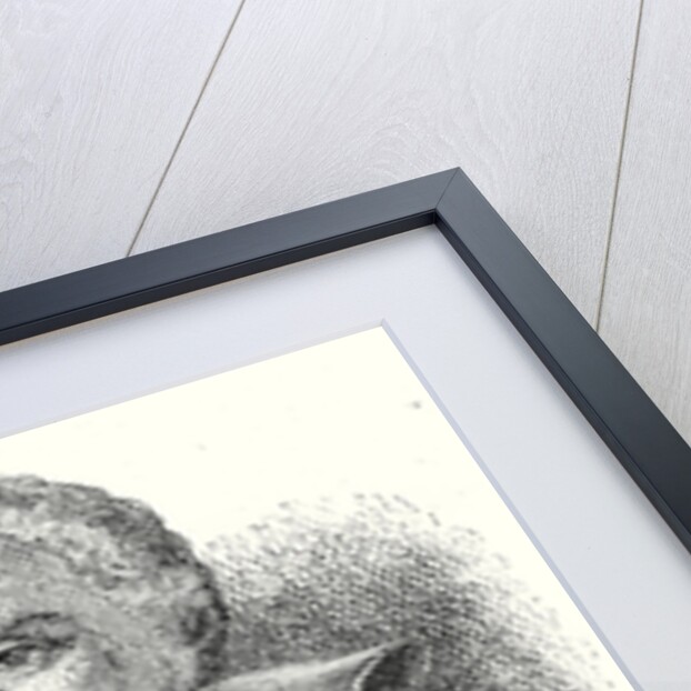 Galilée by Anonymous